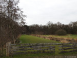 Klootschietvereniging Hertme
